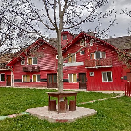 Pensiunea Irina 3 Zărneşti Exteriér fotografie