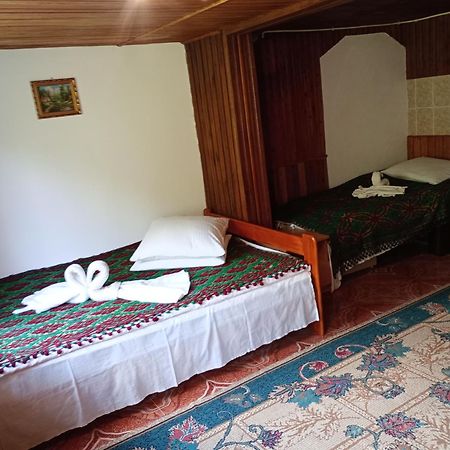 Pensiunea Irina 3 Zărneşti Exteriér fotografie