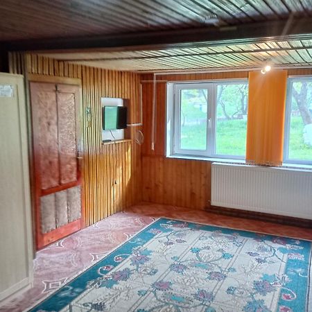 Pensiunea Irina 3 Zărneşti Exteriér fotografie