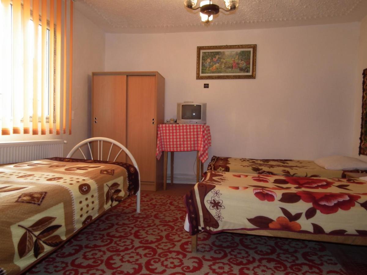 Pensiunea Irina 3 Zărneşti Exteriér fotografie