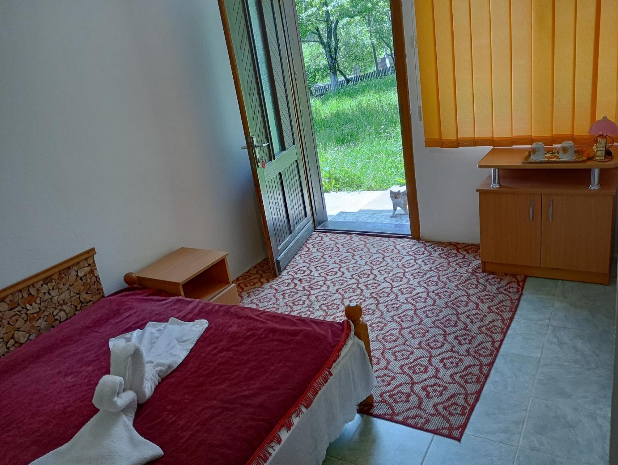 Pensiunea Irina 3 Zărneşti Exteriér fotografie
