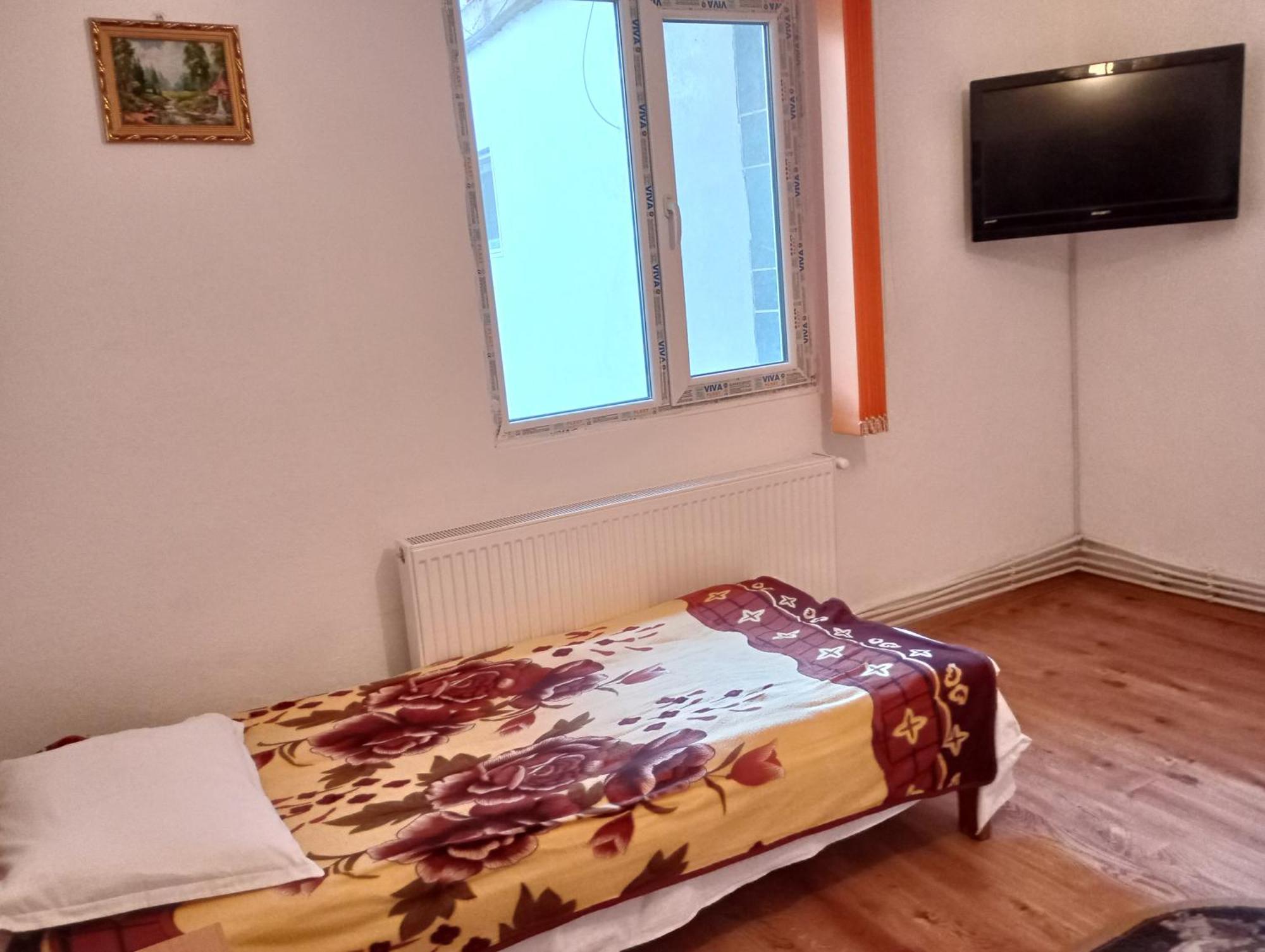 Pensiunea Irina 3 Zărneşti Exteriér fotografie