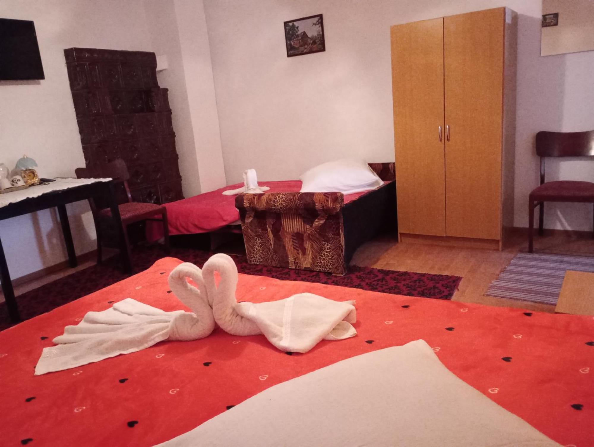 Pensiunea Irina 3 Zărneşti Exteriér fotografie