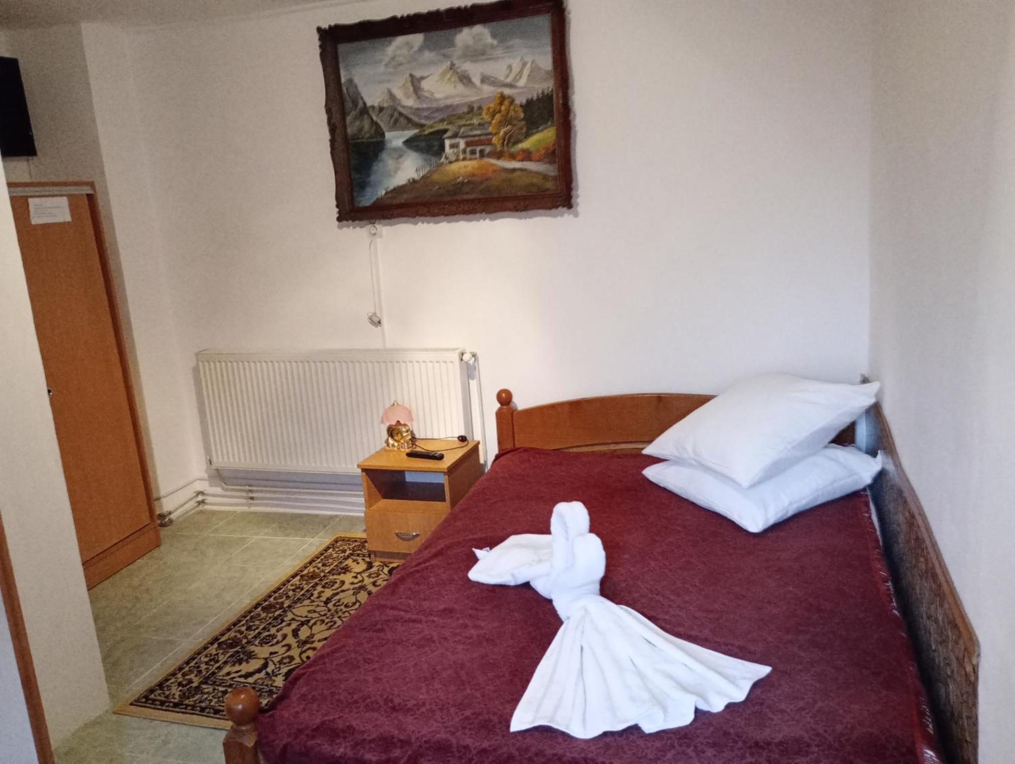 Pensiunea Irina 3 Zărneşti Exteriér fotografie