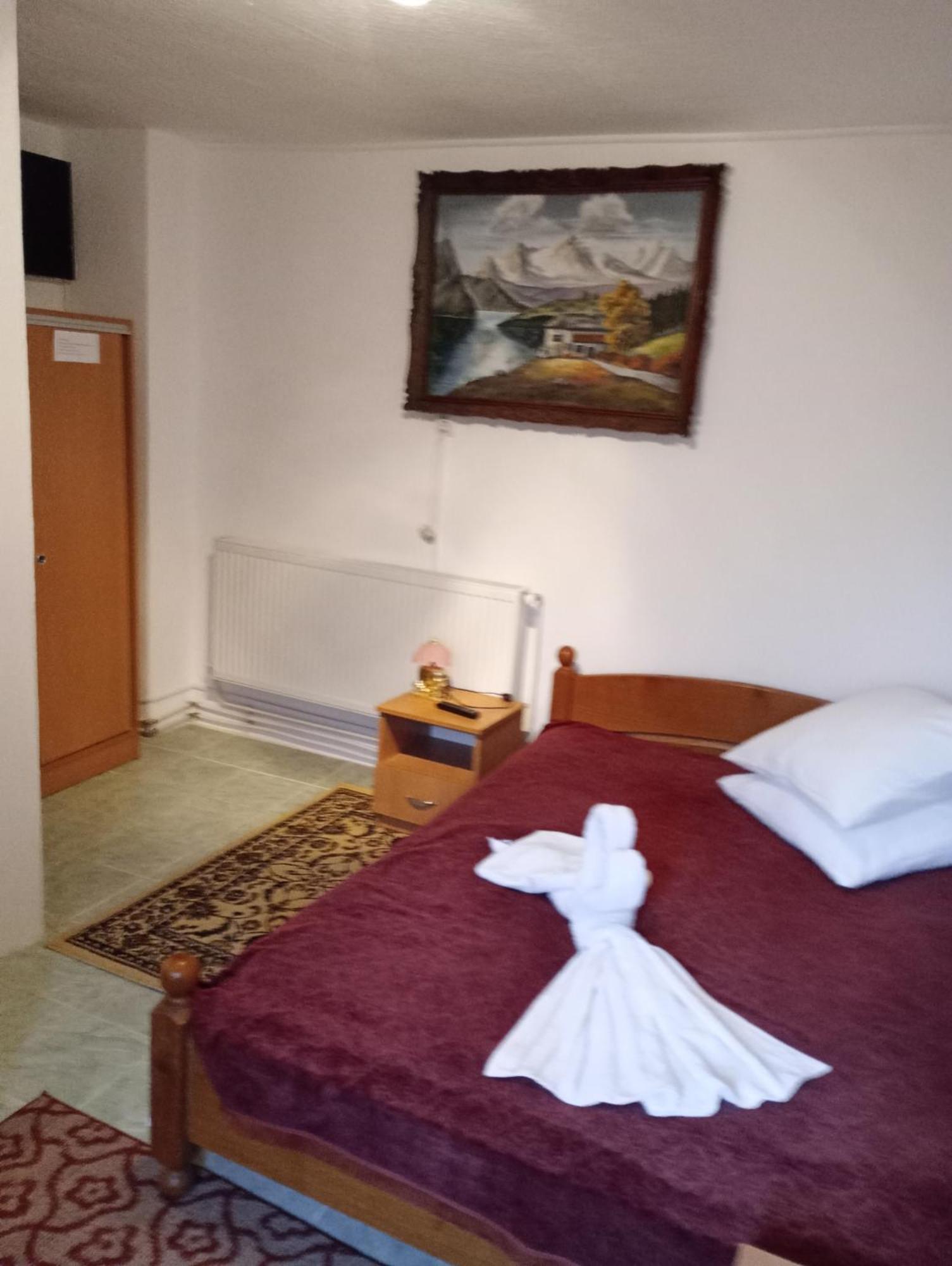 Pensiunea Irina 3 Zărneşti Exteriér fotografie
