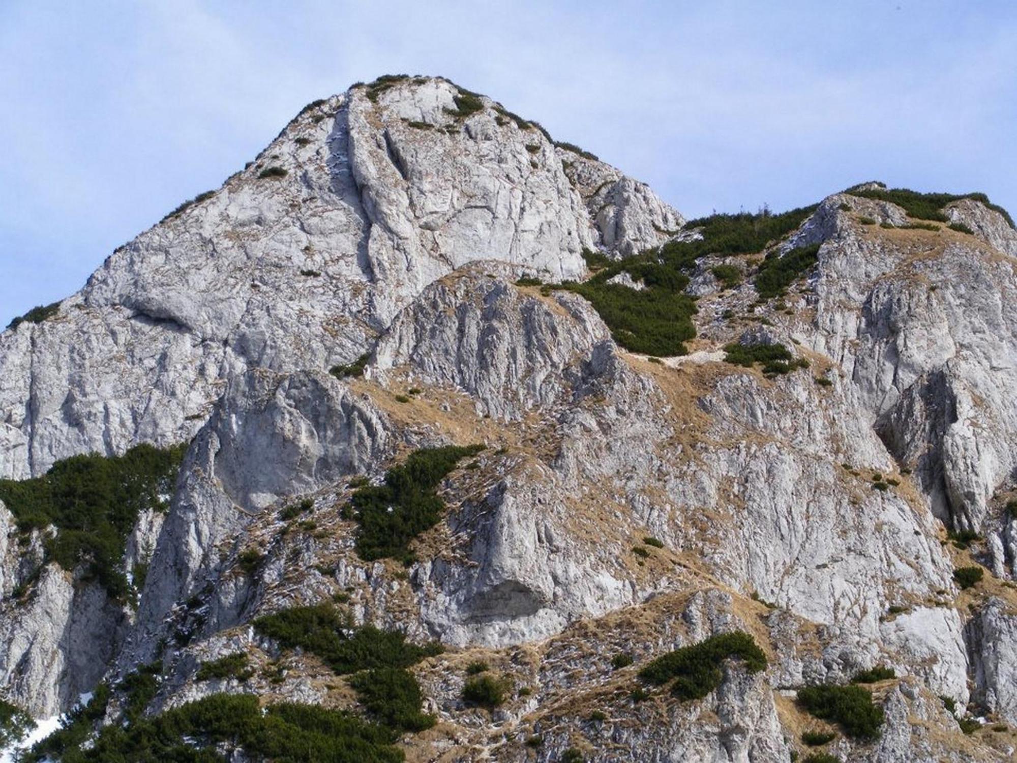 Pensiunea Irina 3 Zărneşti Exteriér fotografie