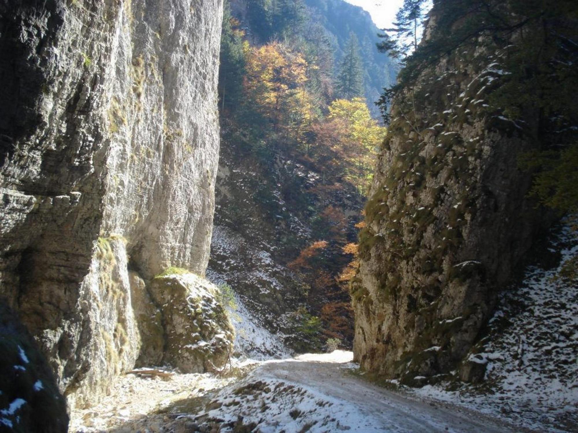 Pensiunea Irina 3 Zărneşti Exteriér fotografie