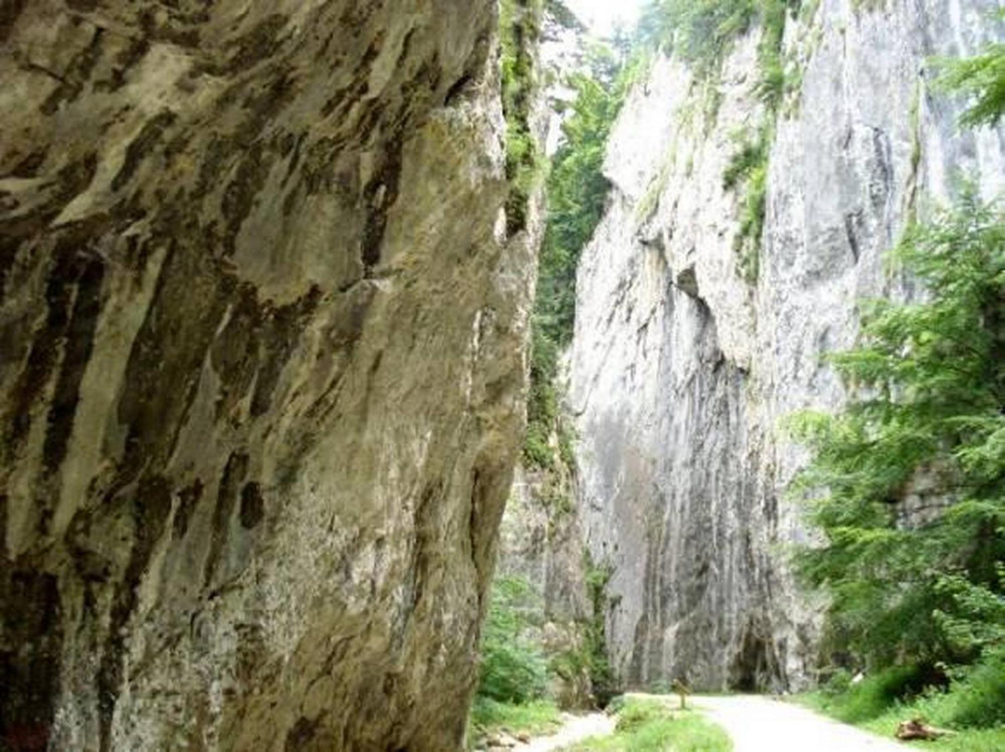 Pensiunea Irina 3 Zărneşti Exteriér fotografie