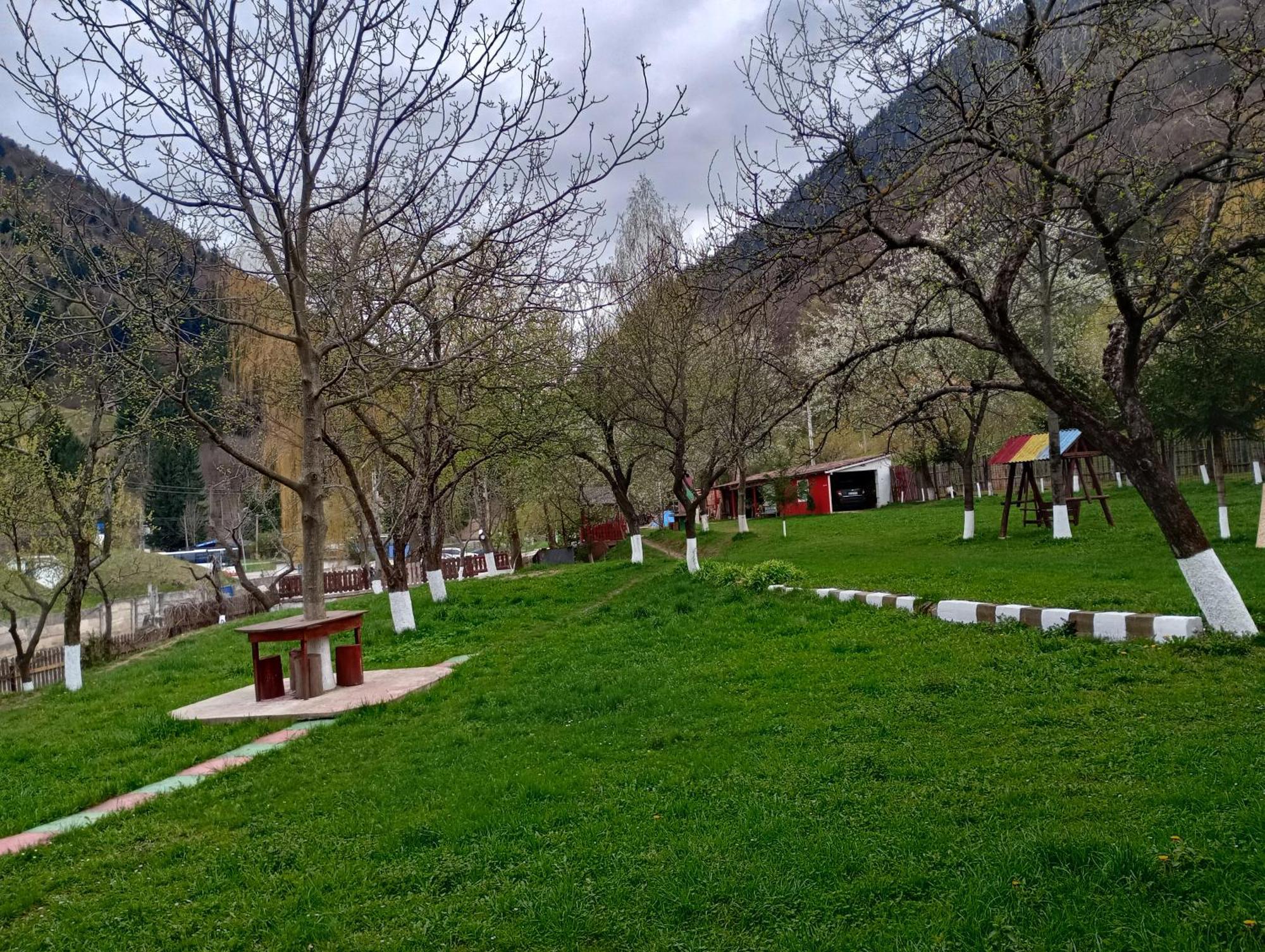 Pensiunea Irina 3 Zărneşti Exteriér fotografie