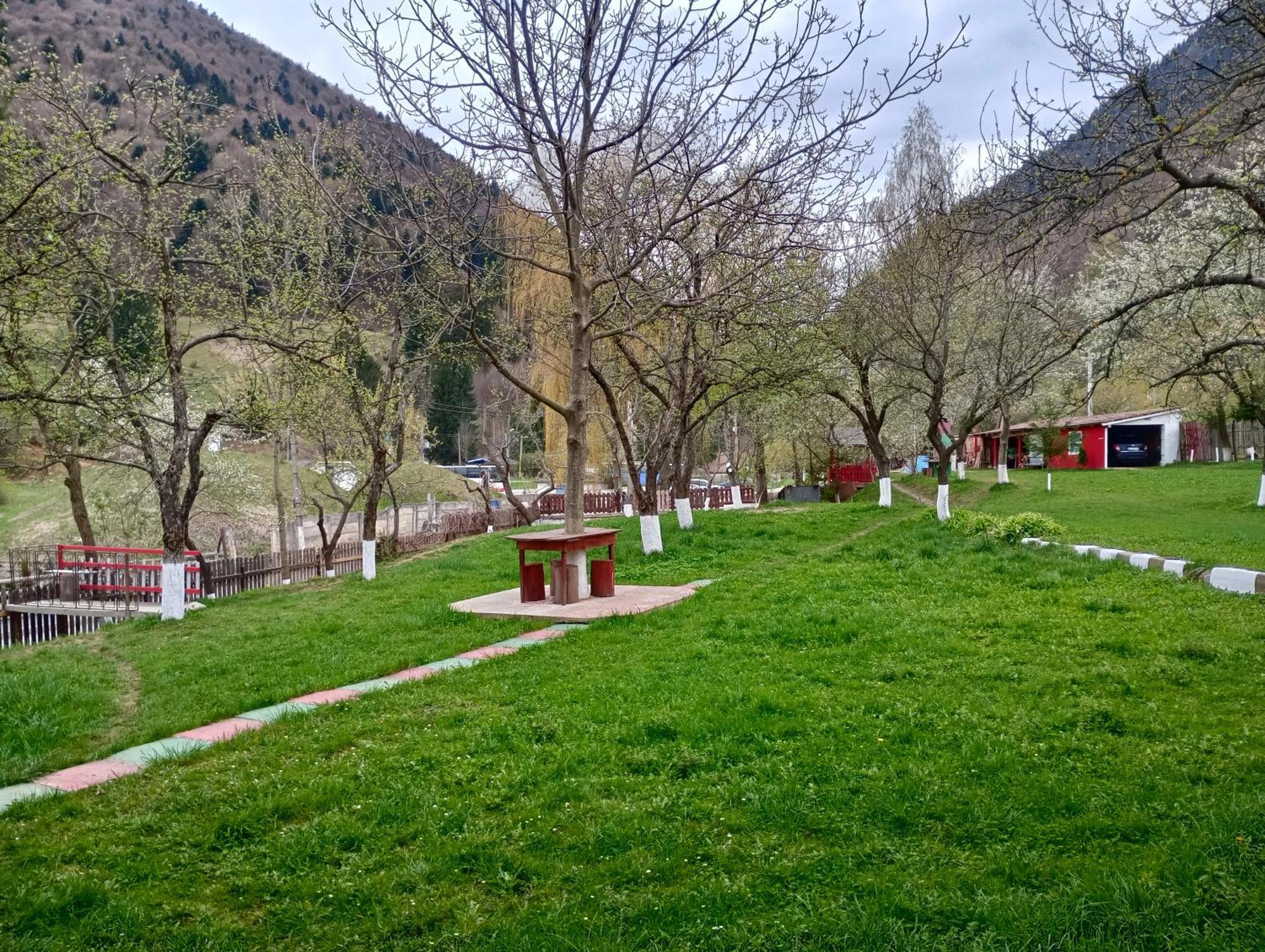 Pensiunea Irina 3 Zărneşti Exteriér fotografie