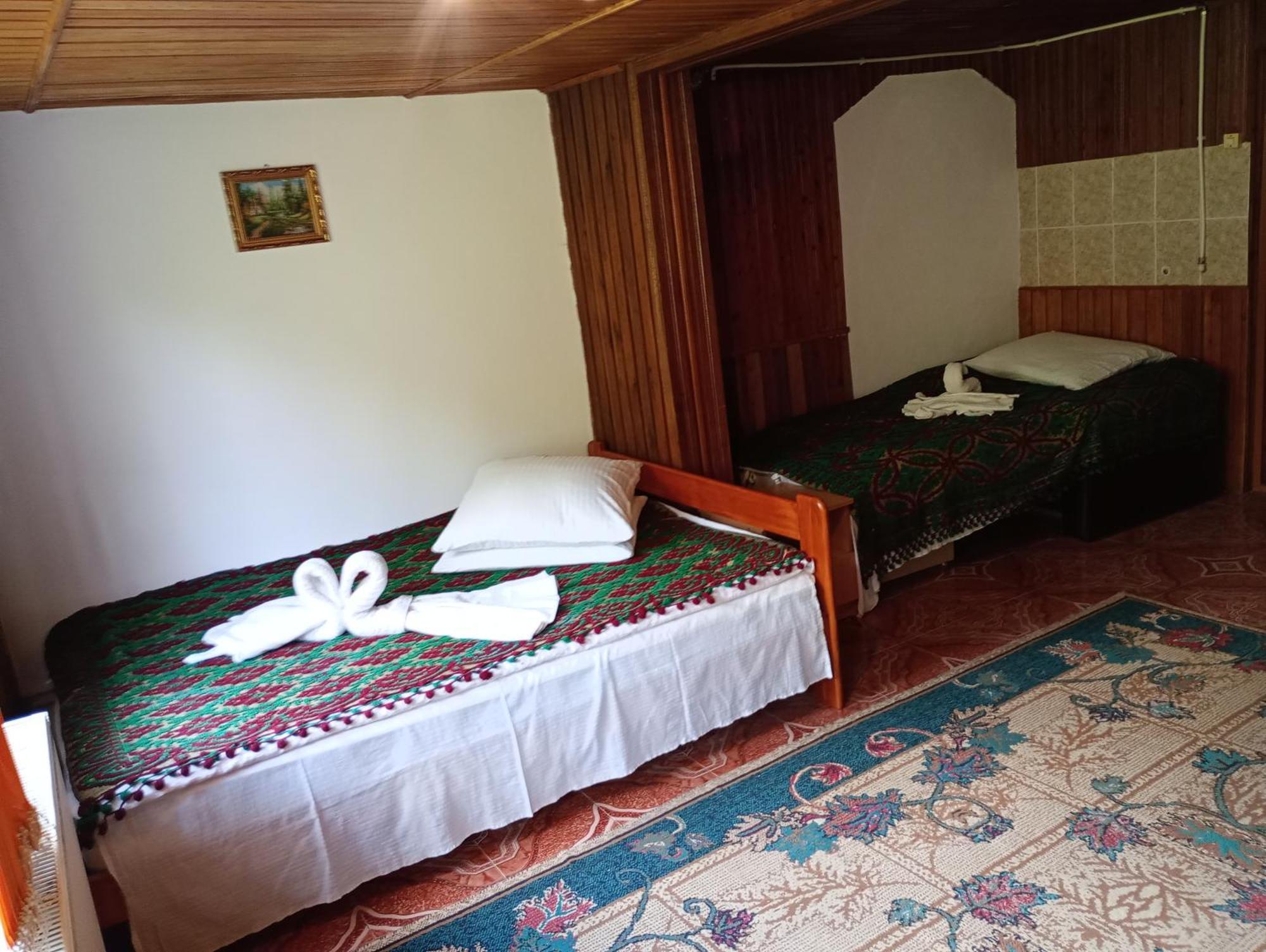 Pensiunea Irina 3 Zărneşti Exteriér fotografie